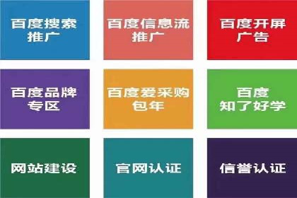 sem代运营公司案例解析：如何制定有效的广告策略